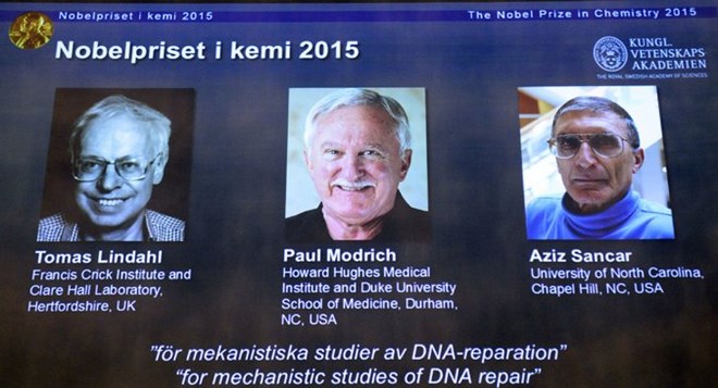 Giải Nobel Hóa học vinh danh công trình sửa chữa ADN tổn thương